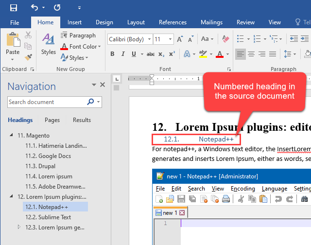 Numbered Heading in the Source Word Document